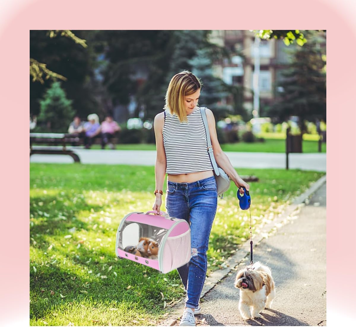 Lizard Travel Carrier Backpack,Guinea Pig Backpack Carrier,Space Capsule Clear Bubble Window Astronaut Reptile Carrier Backpack for Bearded Dragon,Hamster,Sugar Glider,Bunny