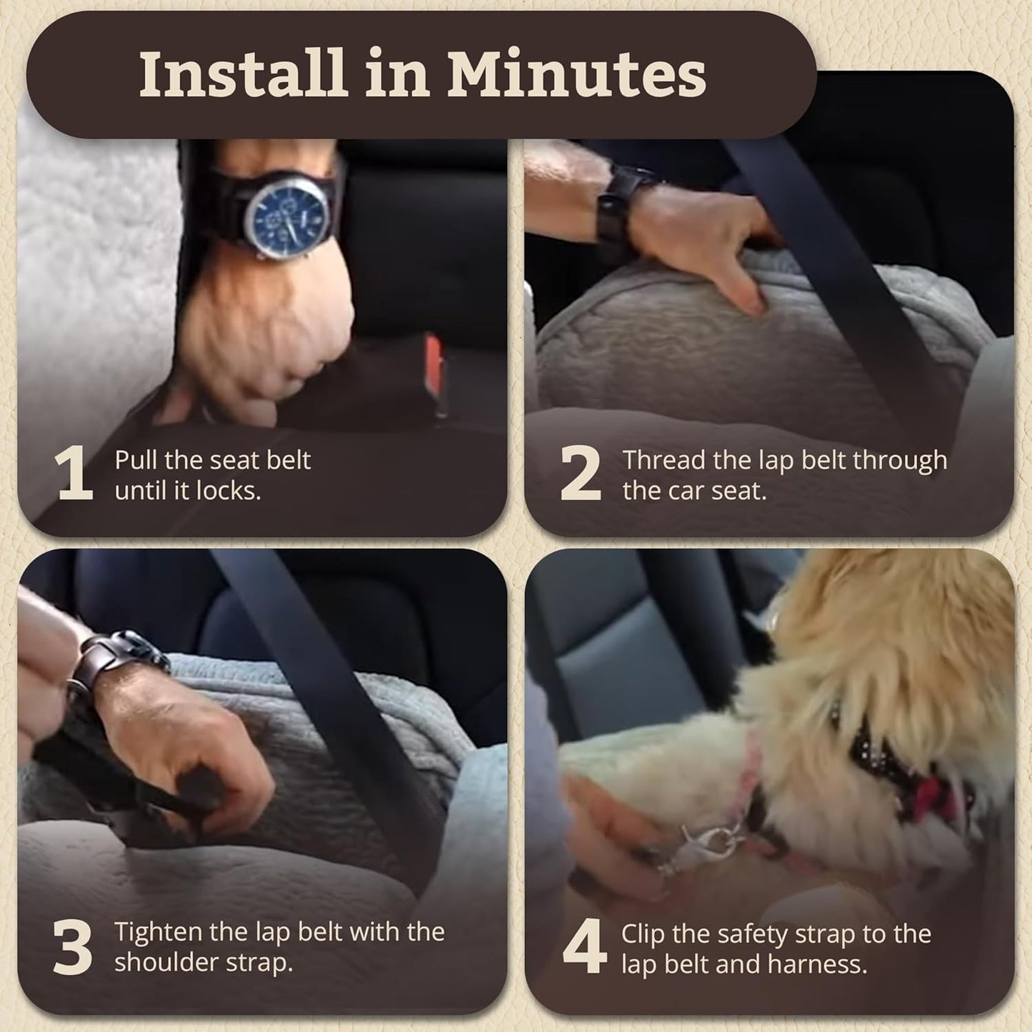 Snoozer Lookout I Dog Car Seat - Small Dog & Puppy Car Seat, Booster Bed for Small and Medium Size Pets up to 25 Lbs, Elevated, Washable - Medium