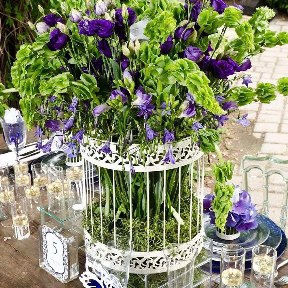 Weddingstar Ivory December Birdcage Round