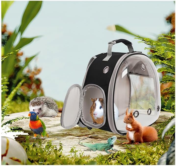 Guinea Pig Backpack Carrier, Bearded Dragon Carrier Backpack with Clear Bubble Window,Small Animal Travel Backpack for Hedgehog Rat Parrot,Rabbit,Sugar Glider,Airline Approved(Black, Backpack)