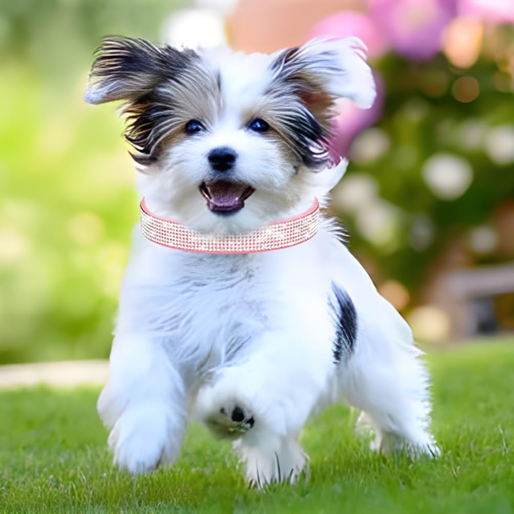 Rhinestone Dog Collar for Small Dogs, Bling Diamond Fancy Crystal Glitter Pretty Jewel Pet Puppy Collars for XXS XS Small Medium Large Breed Girl Dogs Female Cats Kitten, Teal XSmall