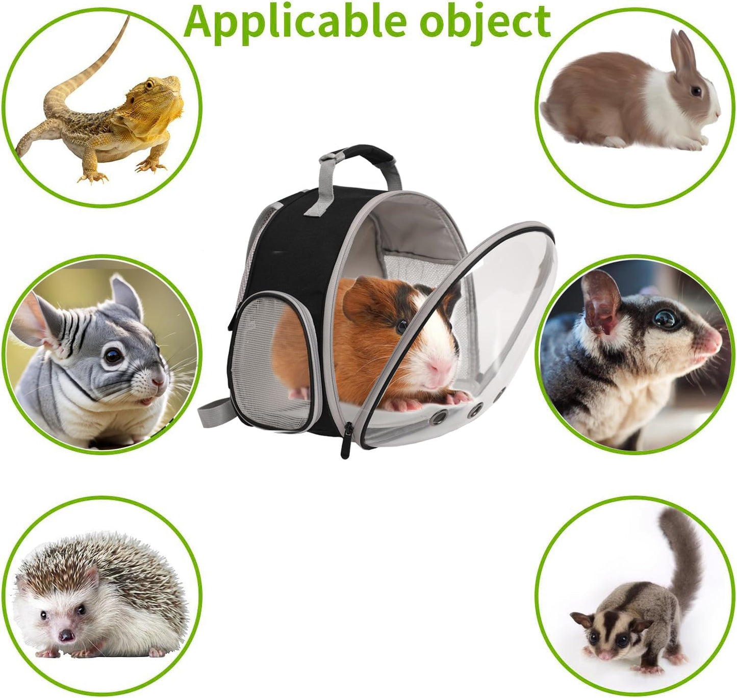 Guinea Pig Carrier,Guinea Pig Carrier for 2,Reptile Travel Carrier for Lizards Sugar Glider Hedgehog Rat Parrot Birds