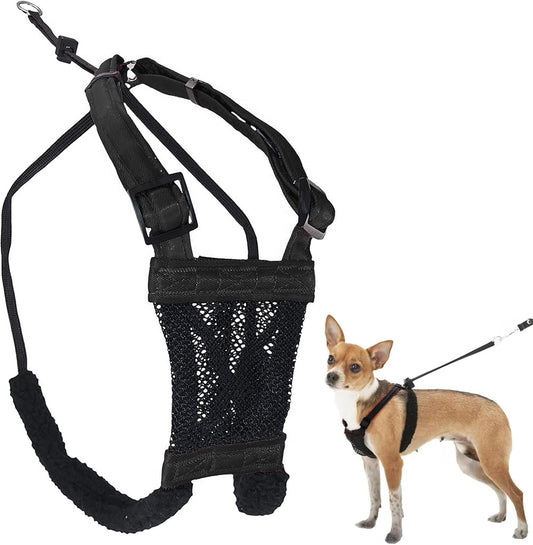 Sporn Extra Small Dog Harness No Pull - Easy & Adjustable for Growing Puppies, Lightweight, Breathable, Durable Nylon, Black Mesh Body, XS Size, Anti-Pull Dog Harness for Puppies & Small-Sized Breeds