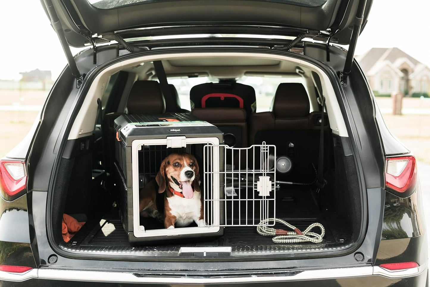 USA Pet Carrier & Crate 26" - Premium Collapsible Design for Medium Cats and Dogs - Portable Kennel for Indoor/Outdoor Use - 360-Degree Ventilation & Hard Plastic Wall Protection