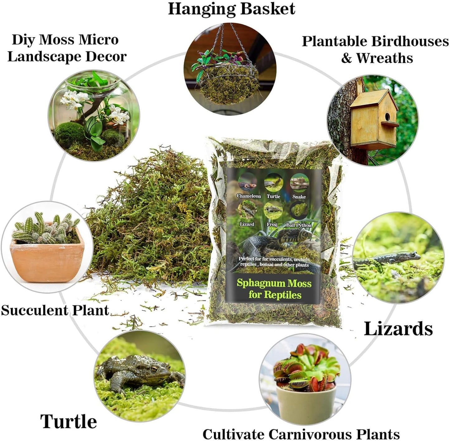 Sukh Sphagnum Moss for Reptiles -Terrarium Moss for Reptiles Peat Moss for Reptiles Habitat Bedding Moss for Snakes Turtle Frog Gecko and Other Reptiles Substrate (15.8, Ounces)