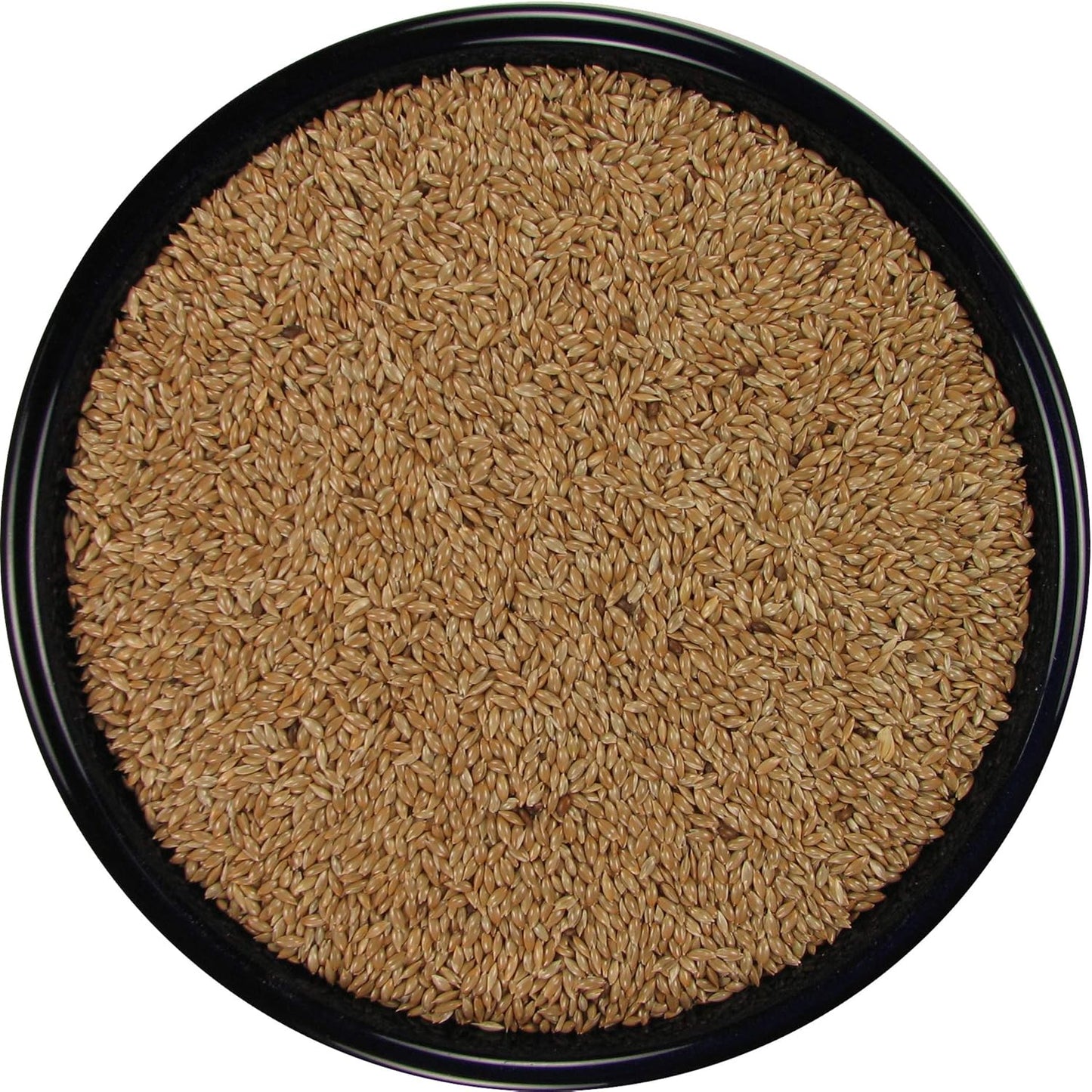 SLEEK & SASSY Canary Seed for Birds (20 lbs.)